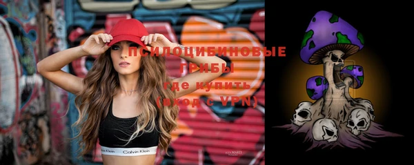 экстази Бородино