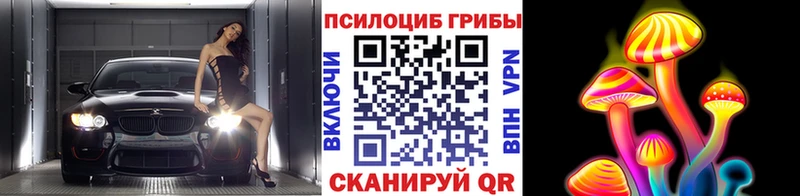 Галлюциногенные грибы мицелий  как найти наркотики  Нерчинск 